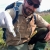A smiling man with a black beard and dark sunglasses, wearing waders and a Service hat, kneels in a wetland and holds out a vial toward the camera.
