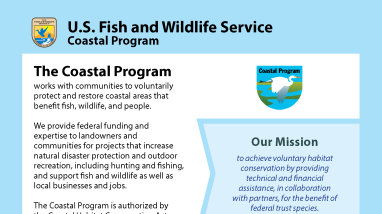 Coastal program brochure cover image.