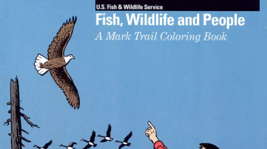 A Mark Trail Coloring Book