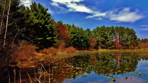 Lake Allen Patuxent Research Refuge