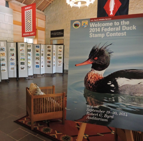 Federal Duck Stamp display in the lobby of the National Conservation Training Center. 