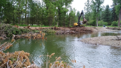 A piece of construction equipment on a river in a forest