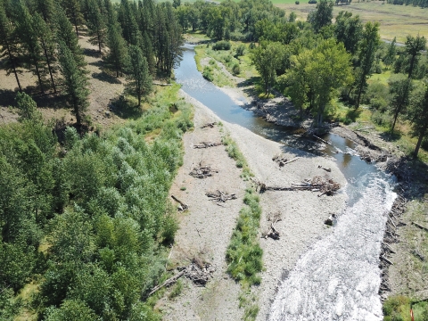 A river in a forested area