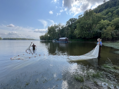 Two college aged students in waders use a big seine net in the river to catch fish