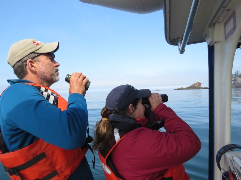 Biologists surveying for marine birds