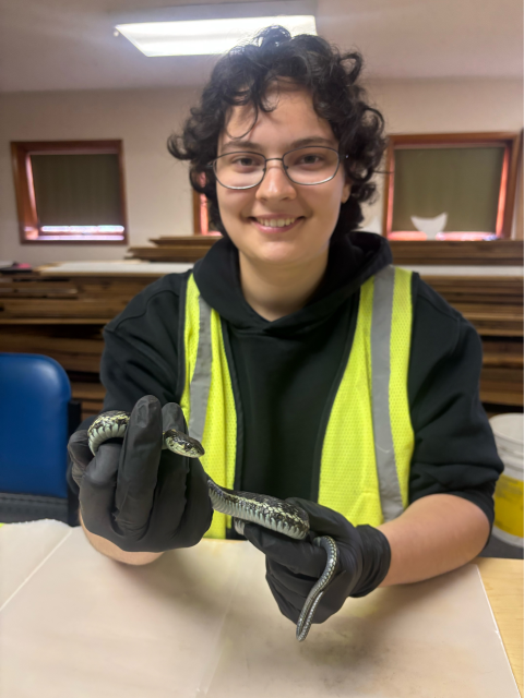 AmeriCorps Service Member, Sophia Cooper, holding a snake over a table counter in a room. Lights and furniture in the background.