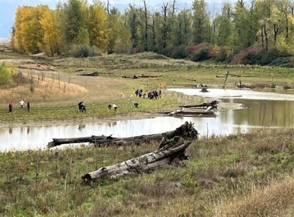 Students planting at Steigerwald Lake National Wildlife Refuge