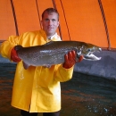 BJ Allaire