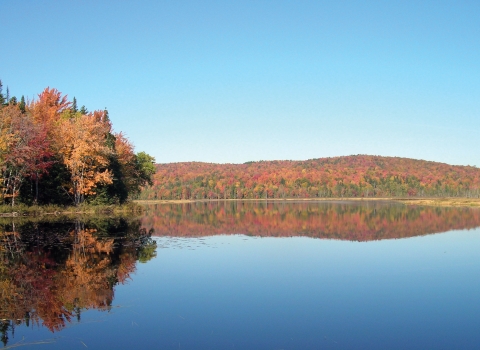 a view over a lake of a mountain with trees in fall foliage and reflected in the water