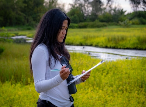 Nikki Imamura, a U.S. Fish and Wildlife Service biologist, stands in a green wetland field. 
