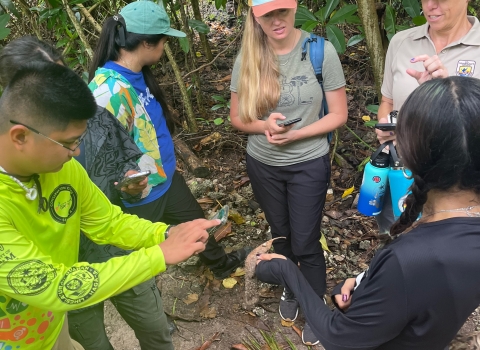 Citizen scientists on Guam discuss plant features to help with identification