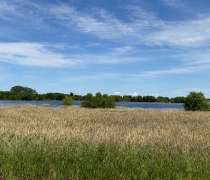 Photo of Holmes Lake WPA showing full potential of wetland restoration.