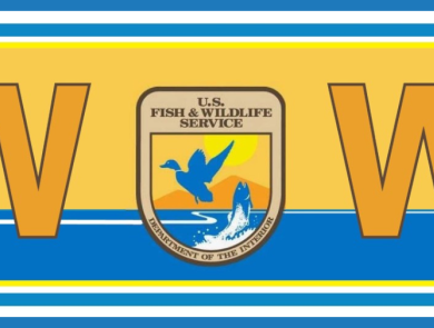 A blue background with the FWS logo centered in the middle. The logo reads WoW - but the 'o' is replaced by the USFWS logo. WoW stands for Women of Wildlife.