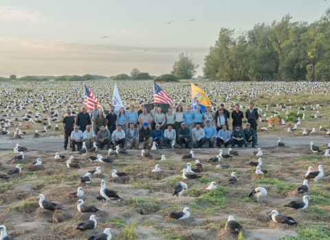 people pose in front of 4 flags (US at right) and birds all around