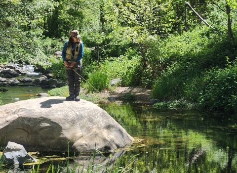 a women stands fishing on a boulder in a slow stream