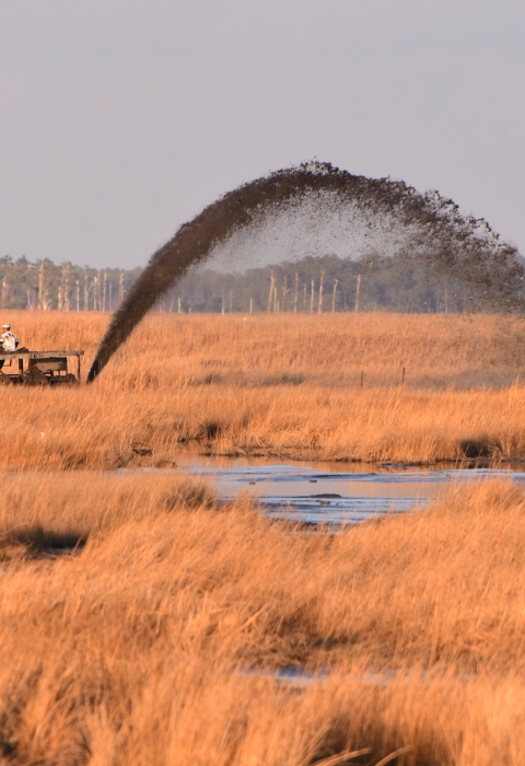 A machine operator sprays a black arc of sediment into the marsh.