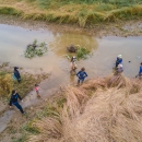 Visitors to tidal marsh on Freshwater Farms Reserve 