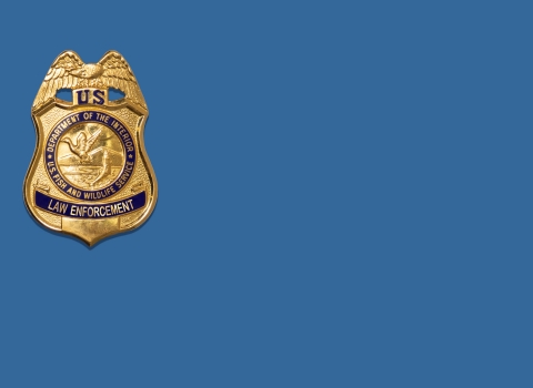 OLE Banner