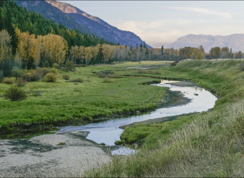 Nestled beside the Selkirk Mountains of northern Idaho, this 2,774 acre refuge provides diverse habitats for a large variety of wildlife.