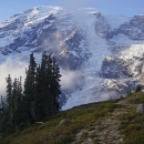 Mount Rainier rises from behind fog and trees on a ridgeline