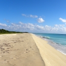 Beach shoreline with a crisp blue ocean waves 