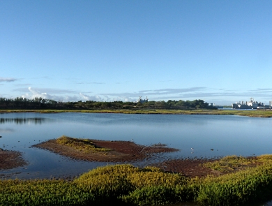 A landscape shot of Pearl Harbor National Wildlife Refuge