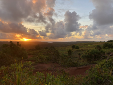 Sun sets over the savanna habitat in the Mariana Islands