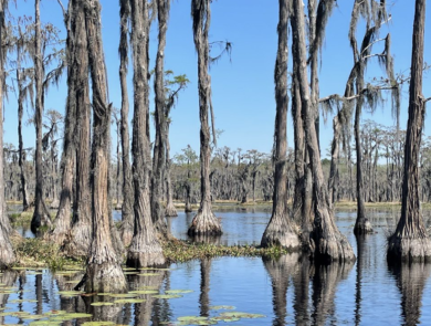 Banks Lake NWR