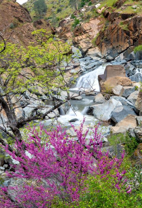 Merced River, California
