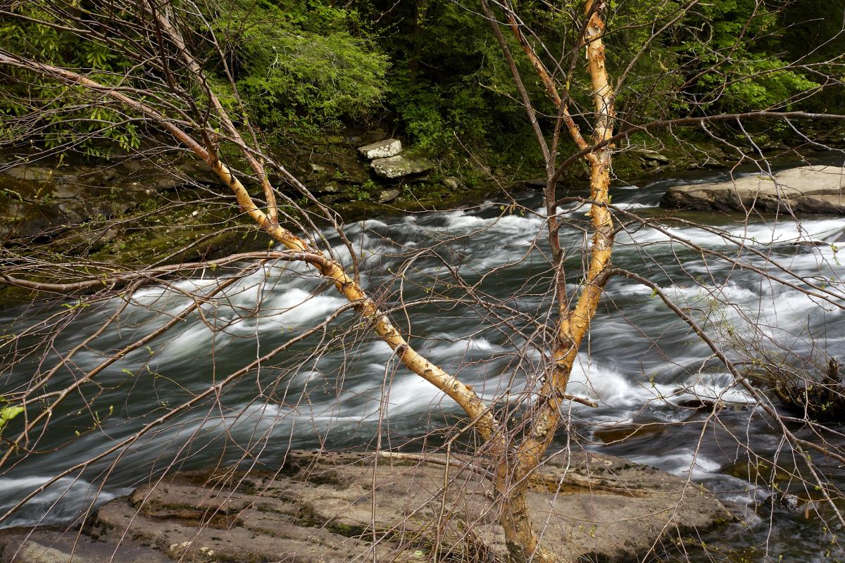 Clear Creek, Tennessee