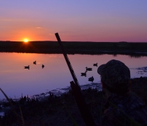 Waterfowl hunting at sunset