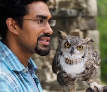 A man holds an owl which looks inquisitively at the viewer. 