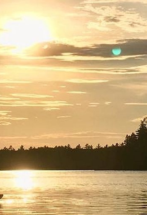 A kayaker paddling toward a setting sunset on a pond surrounded by evergreen trees