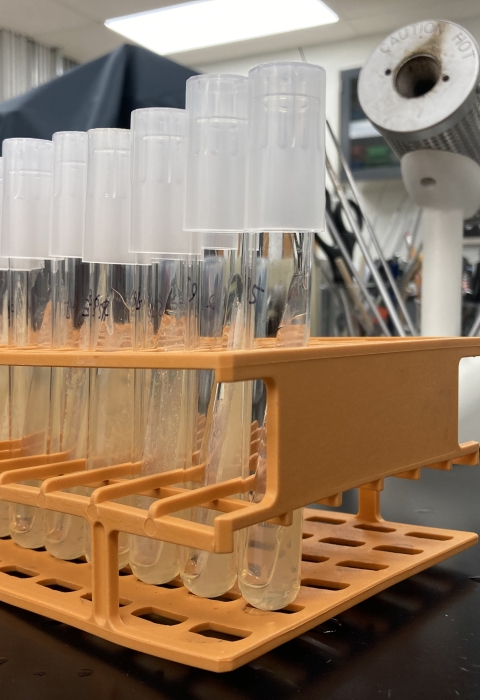 Vials in vial holder in lab