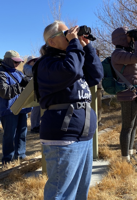 People looking for birds using binoculars