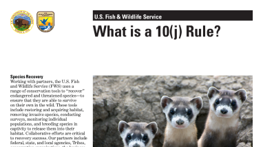 Experimental Populations: Section 10(j) of the Endangered Species Act