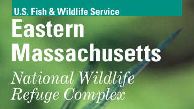 Eastern Massachusetts National Wildlife Refuge Complex Brochure