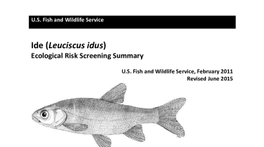 Ecological Risk Screening Summary - Ide (Leuciscus idus) - Uncertain Risk