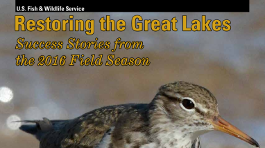 Restoring the Great Lakes: Success Stories from the 2016 Field Season
