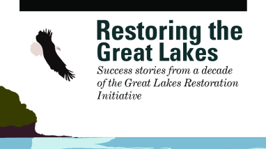 Restoring the Great Lakes: Success Stories from a Decade of the Great Lakes Restoration Initiative
