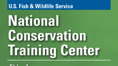 NCTC Bird Guide