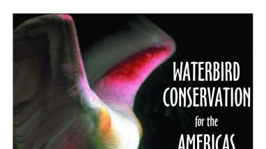 Waterbird Conservation for the Americas North American Waterbird Conservation Plan Version 1 
