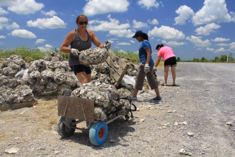 A woman in a boat throws a net bag of oysters from to the riverbank.