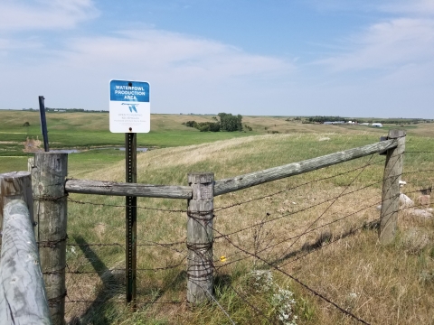 WPA Fence Corner