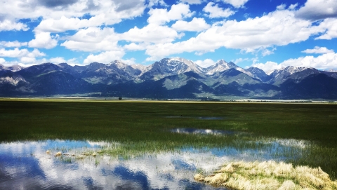 Wet meadow with mountain range in background