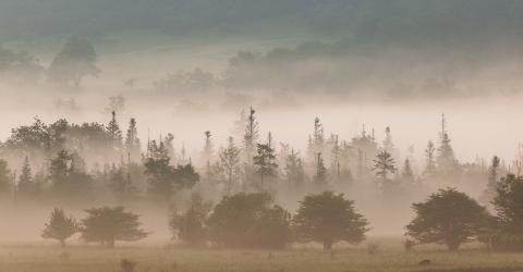 Mist rising over the valley