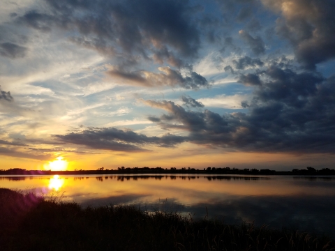 Sunset