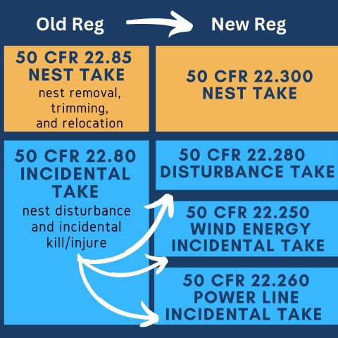 Eagle act regulatory changes under 50 CFR Part 22.