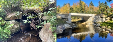 Side by side collage of original undersized culvert with new and enhanced concrete bridge road-stream crossing