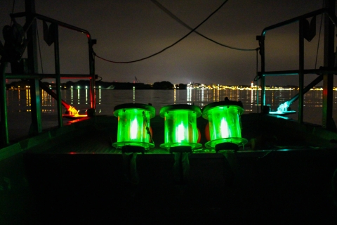 Larval fish light traps being deployed in the Buffalo Harbor at night.
